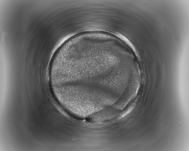 X0000085770885200704091351