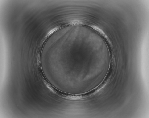 X0000085770889200704091350