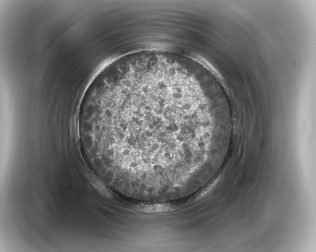 X0000085770891200704091350