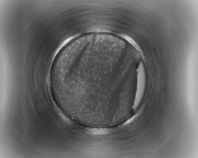 X0000085770893200704091350