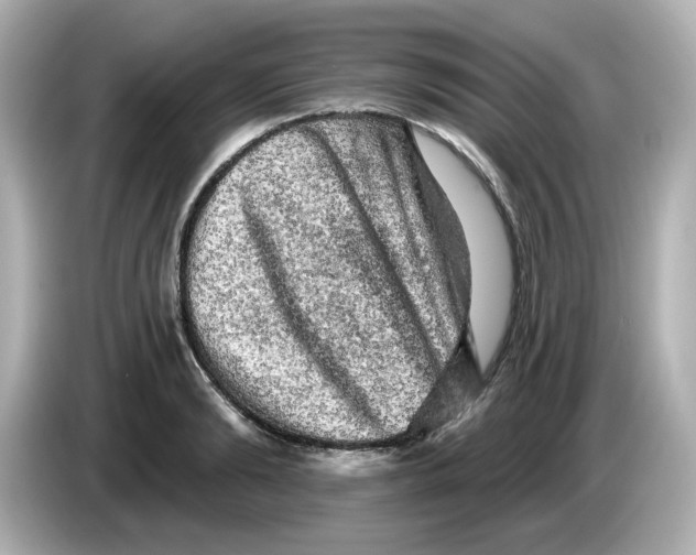 X0000085770894200704091350