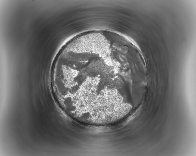 X0000085770895200704091350