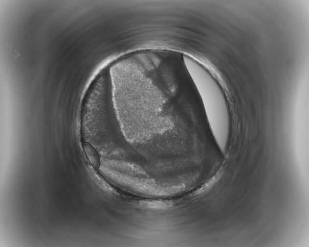 X0000085770896200704091350