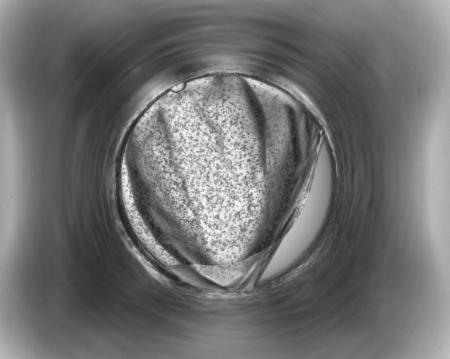 X0000085770898200704091350