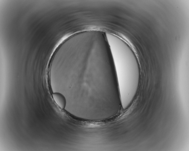 X0000085770899200704091350