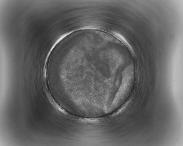 X0000085770900200704091350