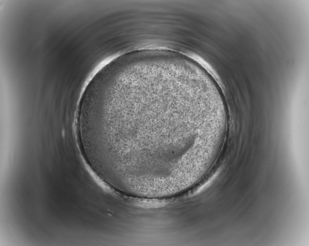 X0000085770901200704091350