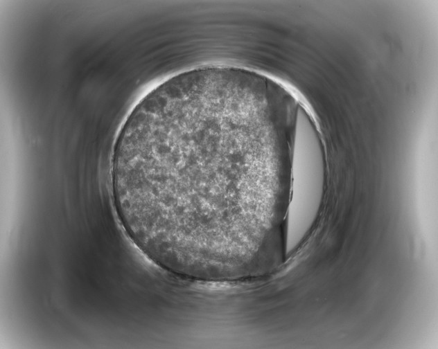 X0000085770903200704091350