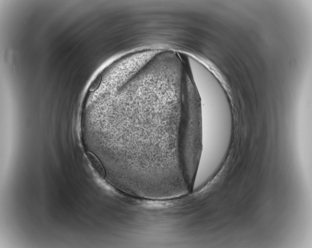 X0000085770904200704091350