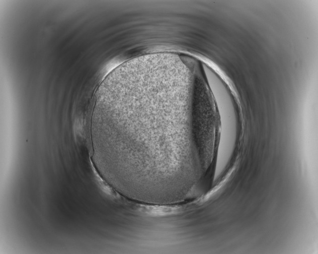 X0000085770905200704091350