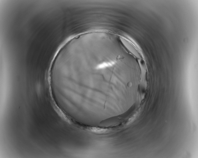 X0000085770907200704091350