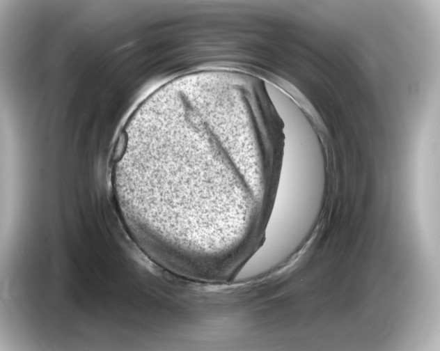 X0000085770908200704091350