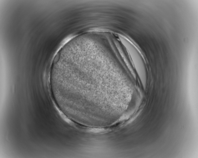 X0000085770909200704091350