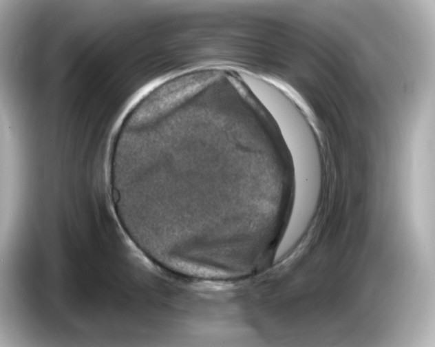 X0000085770910200704091350