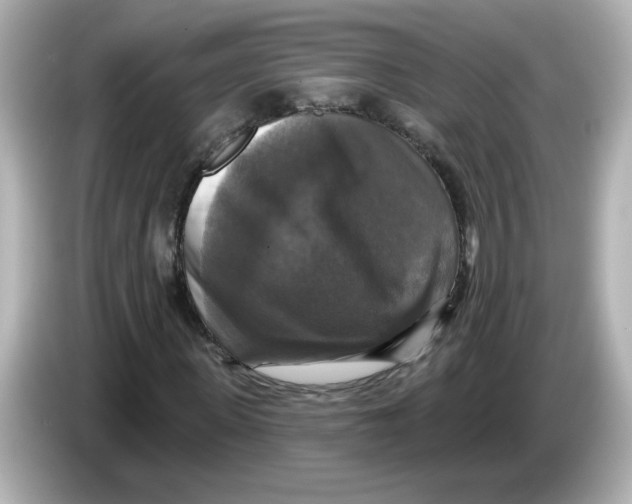 X0000085770915200704091350