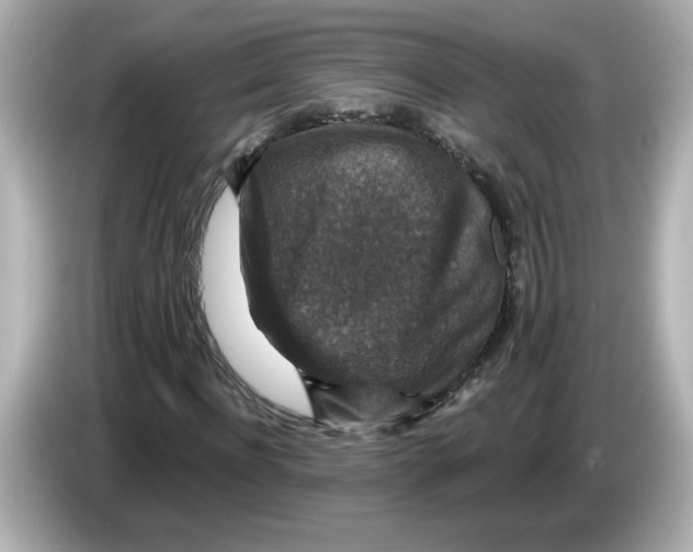 X0000085770916200704091350