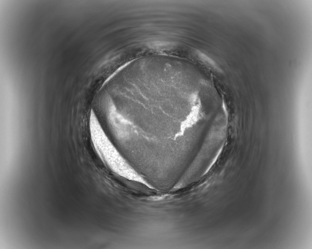 X0000085770917200704091350