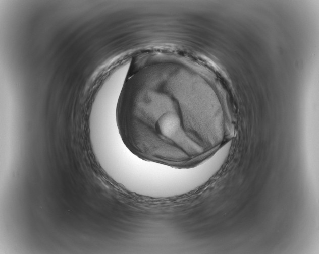 X0000085770920200704091350