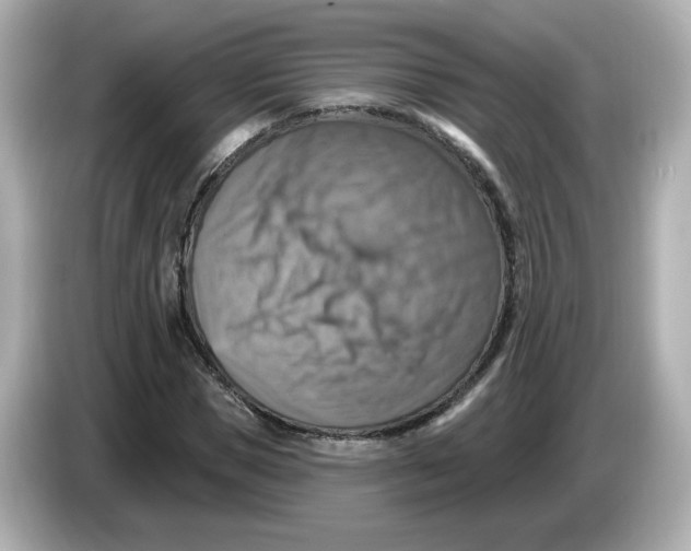 X0000085770921200704091350