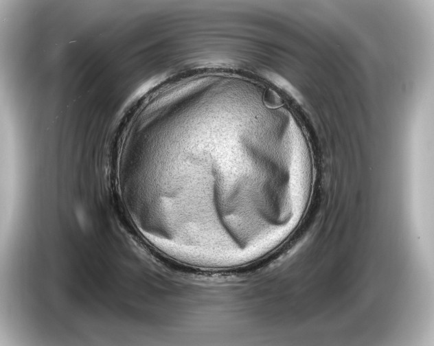 X0000085770922200704091350