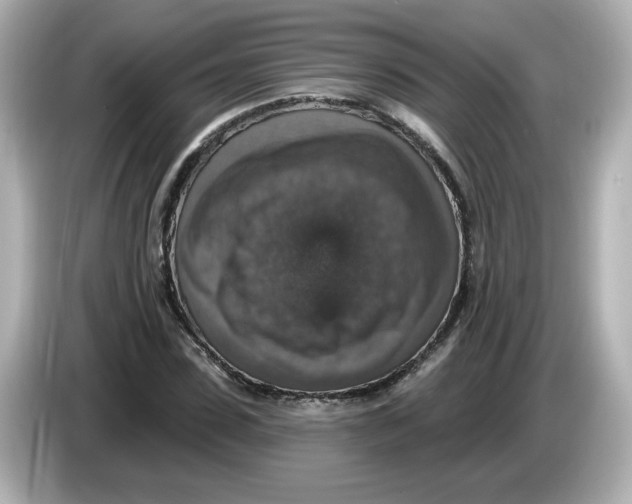 X0000085770923200704091350