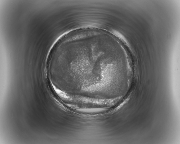 X0000085770924200704091350