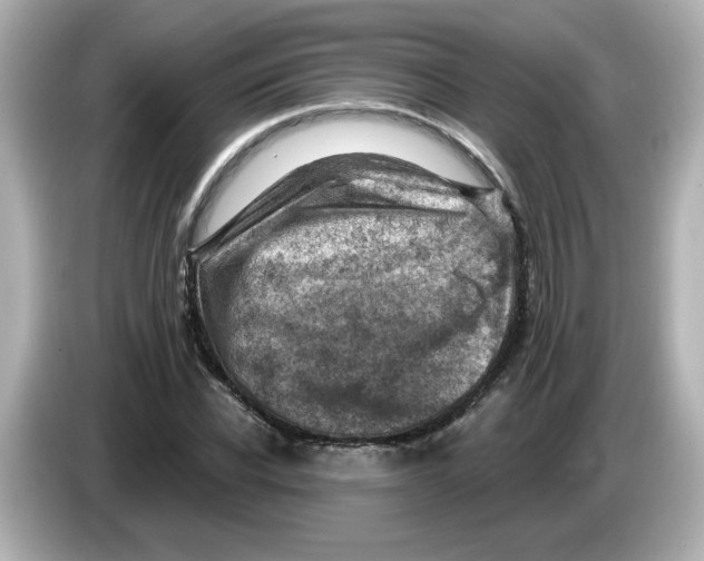 X0000085770926200704091350