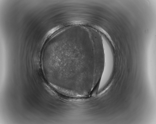 X0000085770930200704091350