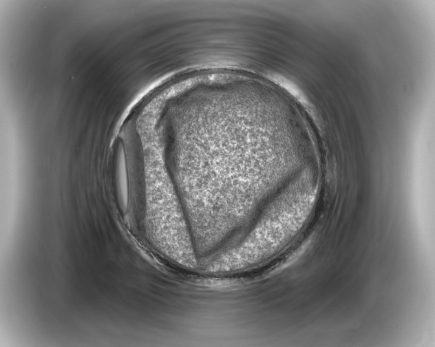 X0000085770933200704091350