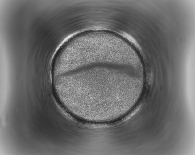 X0000085770934200704091350