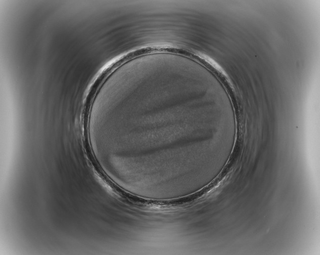 X0000085770935200704091350