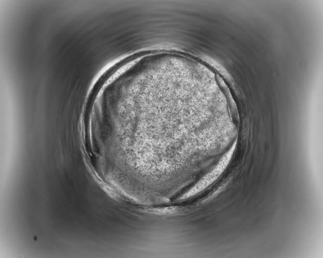 X0000085770936200704091350