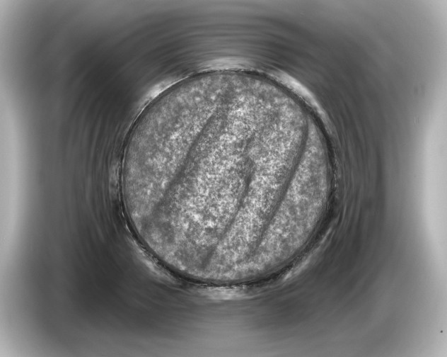 X0000085770937200704091350