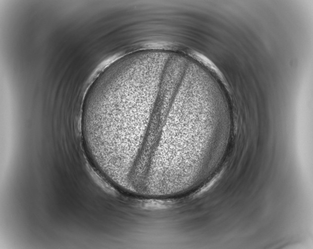 X0000085770938200704091350