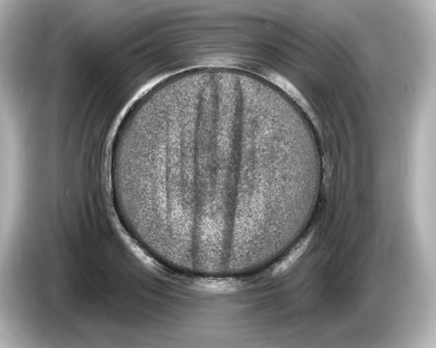 X0000085770939200704091350