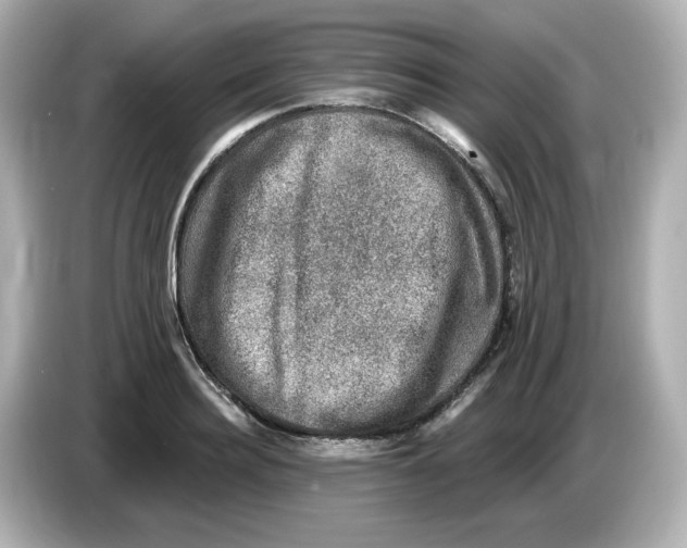 X0000085770940200704091350