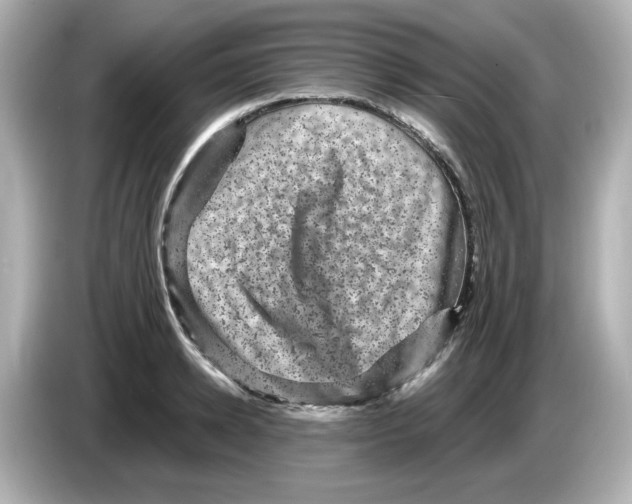 X0000085770942200704091350