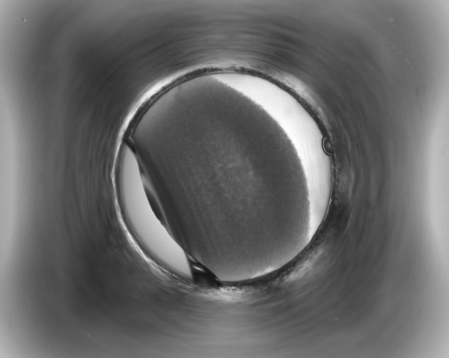 X0000085770943200704091350