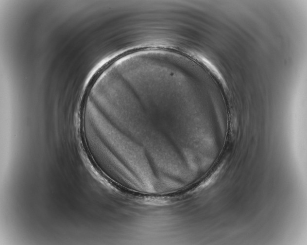 X0000085770944200704091350