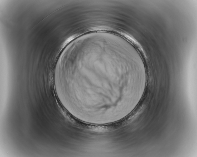 X0000085770945200704091350