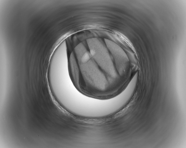 X0000085770946200704091350