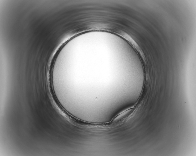 X0000085770947200704091350