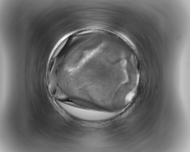 X0000085770948200704091350