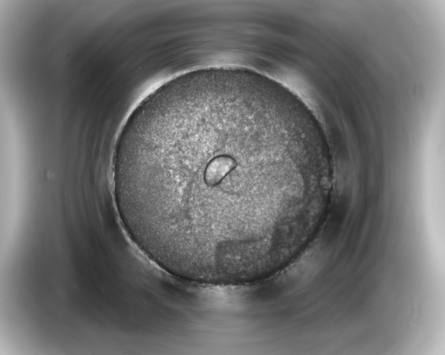 X0000085770950200704091350