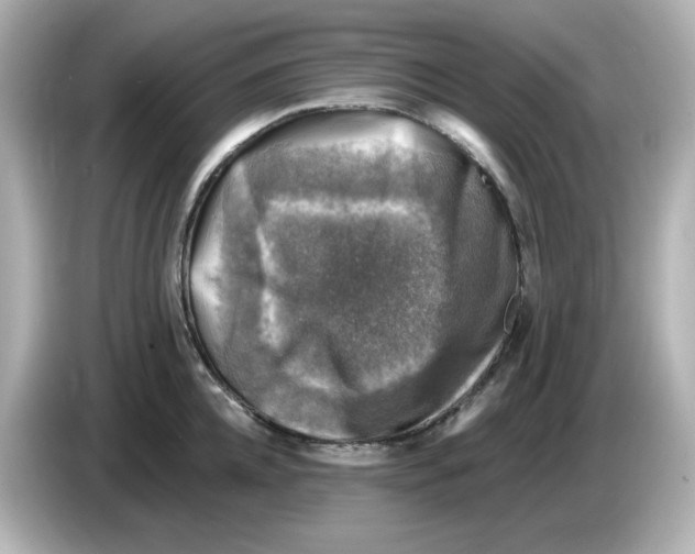 X0000085770952200704091350