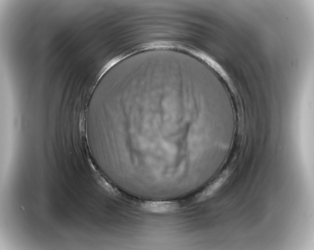 X0000085770953200704091350