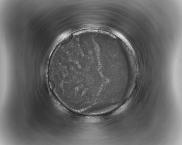 X0000085770954200704091350