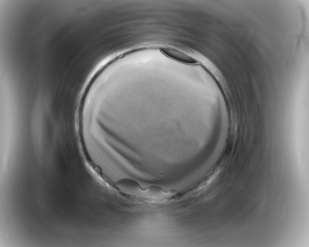 X0000085770958200704091350