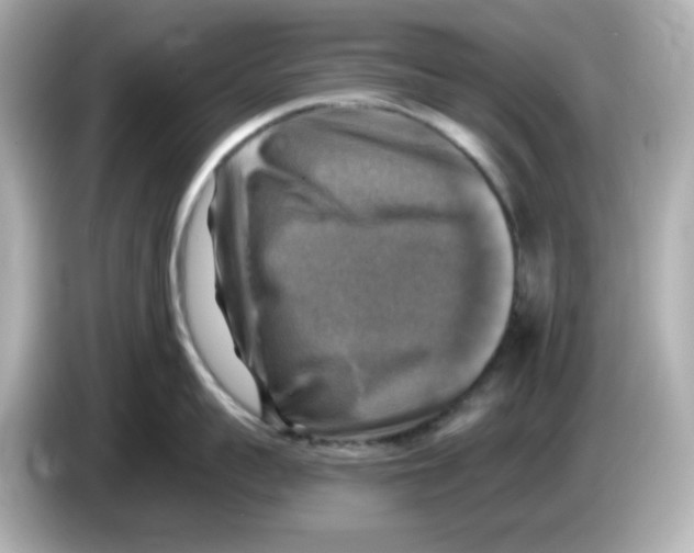 X0000085770959200704091350