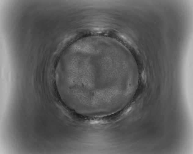 X0000085770961200704091350